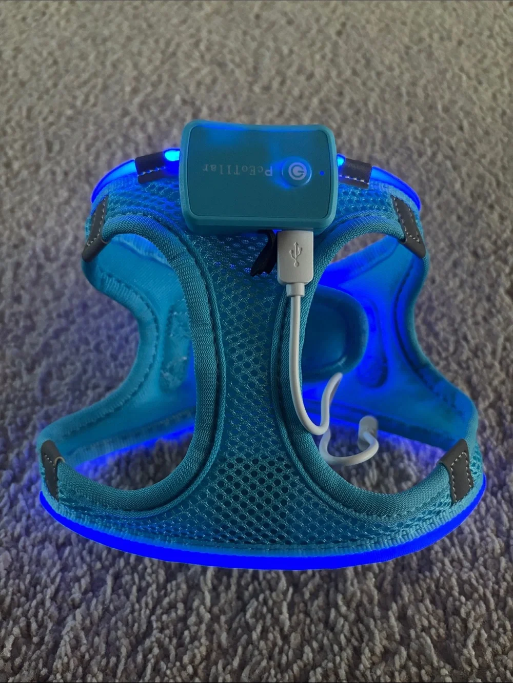 Small LED Light-Up Teal Dog Harness